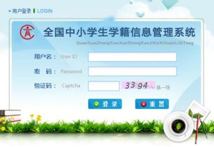 全國中小學(xué)生學(xué)籍管理系統(tǒng) 信息系統(tǒng)運行維護服務(wù)的關(guān)鍵角色與實踐路徑